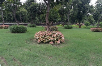 73c31484-b282-46bf-8f9d-1d57c93fd4dc