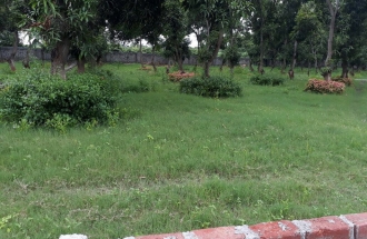 984db724-0842-42c9-82cd-6def00b136e9 (1)