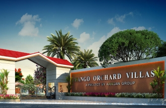 Mango-Orchard-Gallery-2