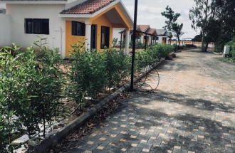 WhatsApp Image 2020-07-28 at 11.53.53 AM (1)